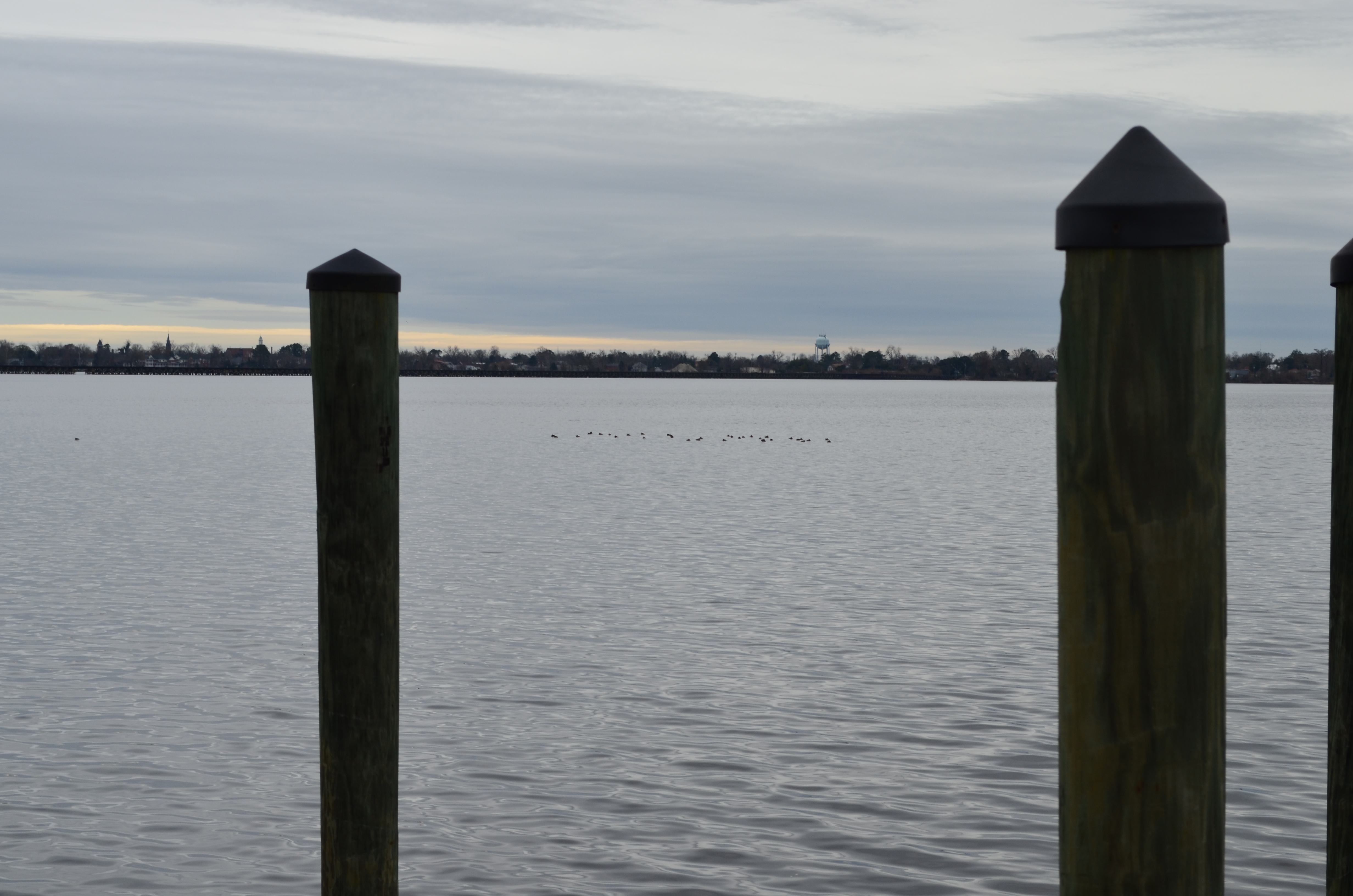 ./2017/01 - New Years/03 - KOA/DSC_0532.JPG